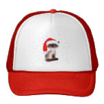 Сat dans le chapeau de Père Noël Casquette