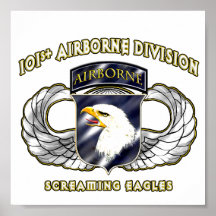101ste Afdeling In de lucht Plaat