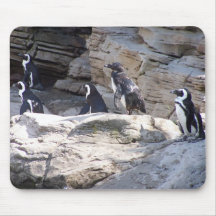 104_3669 - Pingouin Mousepad Tapis De Souris