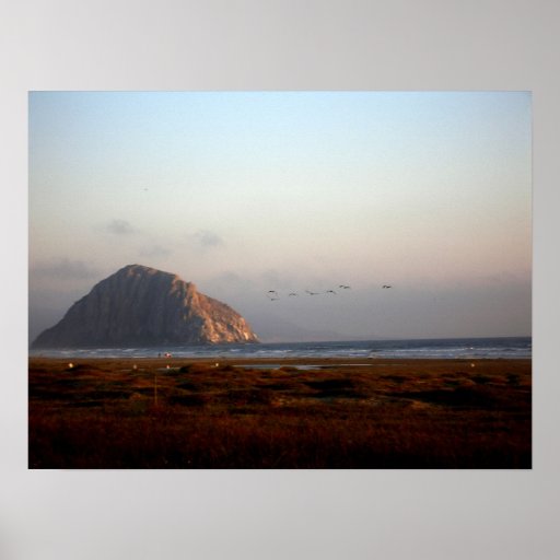 129 POSTERS