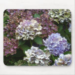 1 de Blauwe Hydrangea hortensia's van de paarse La Muis Matten
