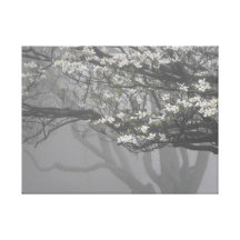 ~ 1 de toile d'arbres toiles tendues sur châssis