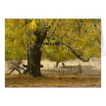 2006 oct. 037 carte