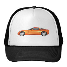 2008 Korvet: Sportwagen: Oranje eindig: Trucker Pet
