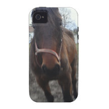2011 foto 079.jpg Case-Mate iPhone 4 case