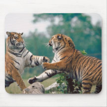 23899157 TAPIS DE SOURIS