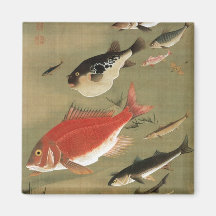 28. 群魚図, divers poissons de 若冲, Jakuchū, art du Ja Magnets Pour Réfrigérateur