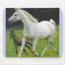 2 chevaux tapis de souris