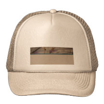 2 de comptabilité casquettes