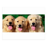 3 amis cartes postales