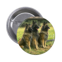 3-Duits Herders Speldje