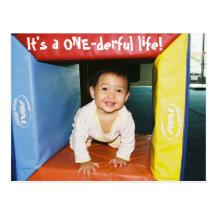 6673690-R1-006-1A, c'est une vie d'ONE-derful ! Carte Postale