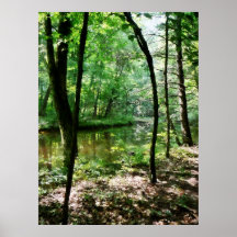 AANVANG ONDER $20 - Schaduwrijk Bos Print