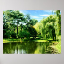 AANVANG ONDER $20 - Wilg door het Meer Print