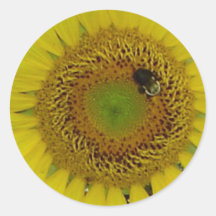 Abeille de tournesol jolie autocollants