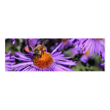Abeille sur le mini signet d'aster de photo pourpr modèles de cartes de visite