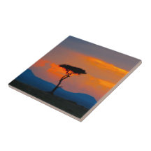 Acacia et coucher du soleil au-dessus de tuile de  carreaux en céramique
