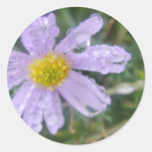 Ademloos Ronde Sticker