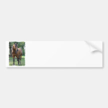 Adhésif pour pare-chocs de cheval de pur sang de b autocollants pour voiture