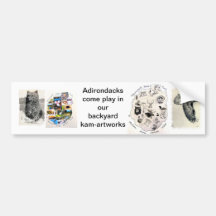 adirondack bumpersticker