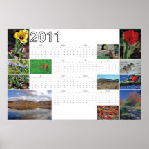 Affiche 2011 de calendrier de collage de nature