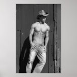 Affiche #2 de cowboy