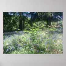 Affiche A3 en bois de jacinthe des bois
