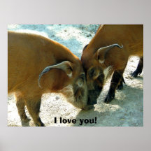 Affiche animale d'humour. Je t'aime !