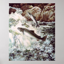 affiche ascendante de natation saumonée
