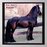 Affiche baroque de cheval