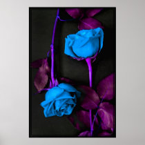 Affiche bleue de roses