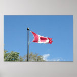 Affiche canadienne de drapeau