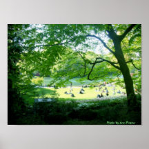 Affiche/Central Park