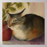 AFFICHE - chat français
