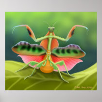 Affiche colorée d'insecte de mante de prière