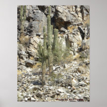 Affiche/conserve montagnes de Phoenix