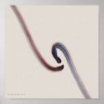 Affiche/copie : "Indigo/rouge 5"