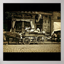 Affiche-Cru Boston Photography-8