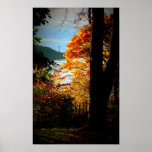 Affiche d'automne