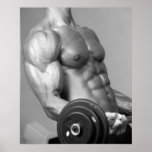 Affiche de bordage #5 de biceps