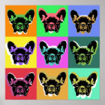 Affiche de bouledogue français