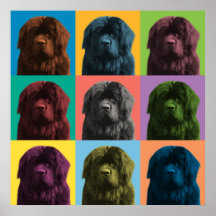 Affiche de Bruit-Art de Terre-Neuve