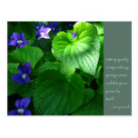 Affiche de citation de proverbe de zen cartes postales