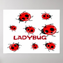 AFFICHE DE COCCINELLE