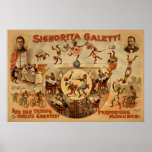 Affiche de exécution de VAUDEVILLE de Loi de singe