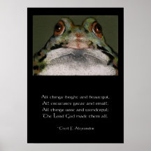 AFFICHE DE FROGGIE