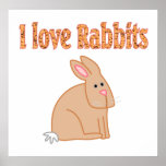 Affiche de lapin