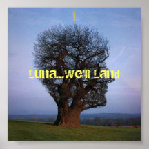 Affiche de Luna