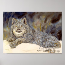 Affiche de Lynx