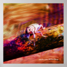 Affiche de nature d'insecte